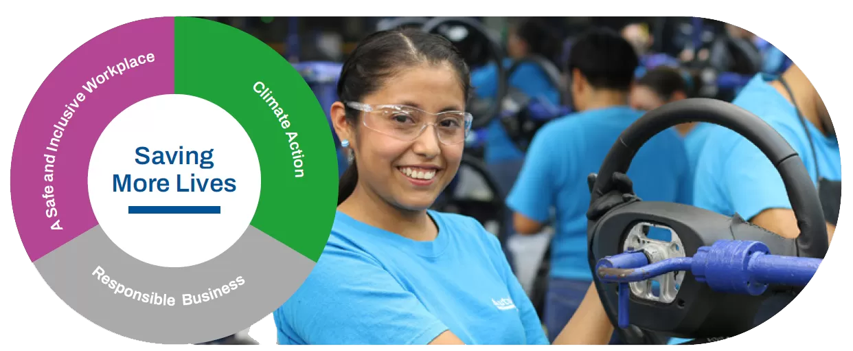 Sustainability Framwork